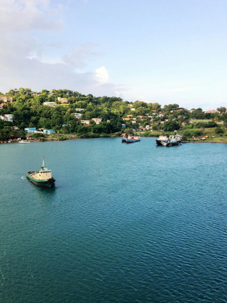 A stunning aerial view of boats in a serene bay surrounded by lush greenery in Saint Lucia.